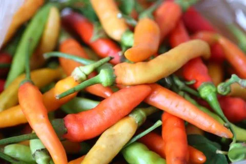 Multi-colored peppers are in the cup. 스톡 사진