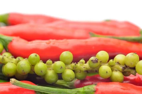 Multi-colored peppers on a white background Stock Photos