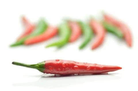 Multi-colored peppers on a white background Stock Photos