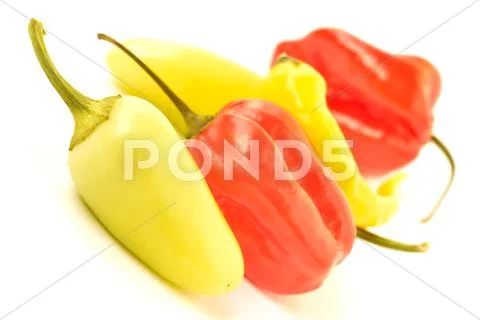 Multi-colored peppers on a white background Stock Photos