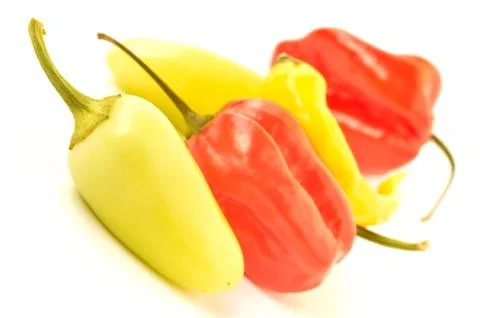 Multi-colored peppers on a white background Stock Photos