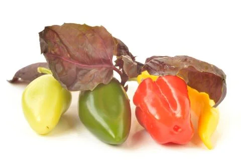 Multi-colored peppers on a white background Stock Photos