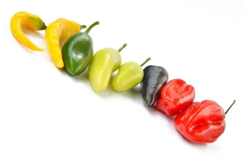Multi-colored peppers on a white background Stock Photos