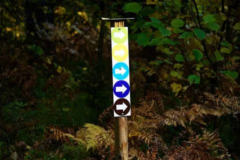 Multi-colored pointers on the tree. Road sign - five arrows. Foto stock