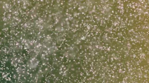 Multi colored powder flying in slow motion as camera pulls away and rotates Illustrazione stock