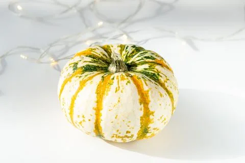 Multi-colored pumpkin on a white table Stock Photos