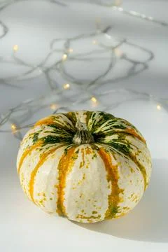 Multi-colored pumpkin on a white table Stock Photos