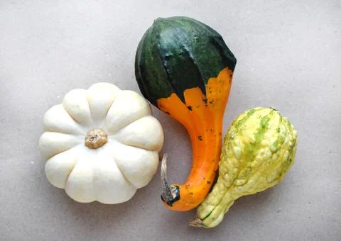 Multi-colored pumpkins of different varieties lie on paper. View from above. Stock Photos