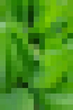 Multi-colored rectangular pixel background. Stockillustratie