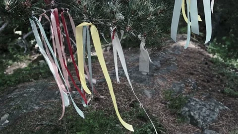 Multi-colored ribbons fluttering in the wind. Wish tree branches close up Stock Footage 168492113