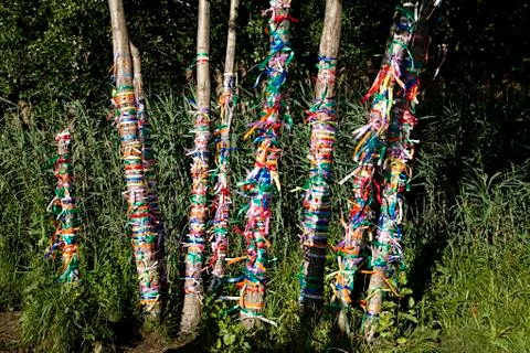 Multi-colored ribbons on a tree Stock Photos