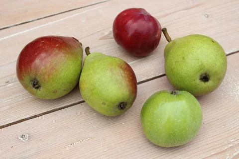 Multi-colored ripe pears and apples on background of boards. Stock Photos