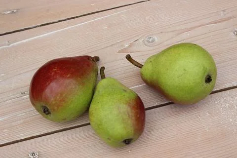 Multi-colored ripe pears on background of boards. Stock Photos