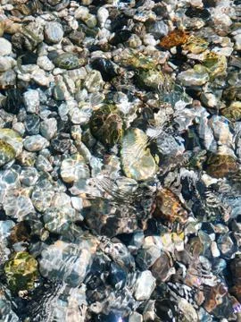 Multi-colored river stones. Background of colored sea stones close-up. Stock Photos