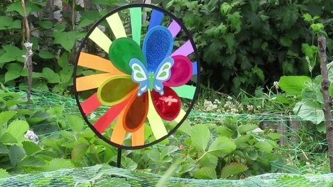 Multi-colored rotating wheel. Stock Footage 77276919