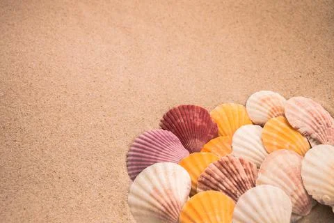 Multi-colored shells on the sand, background for travel advertising, text, inscr Foto stock