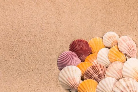 Multi-colored shells on the sand, background for travel advertising, text, Stock Photos