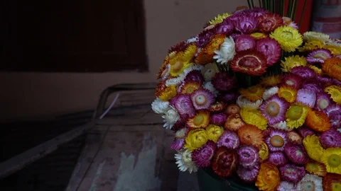 Multi colored small daisies. Spring or summer creative composition in minimal st Stock Footage 123446549