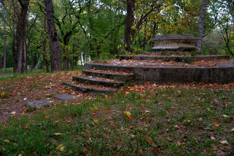 Multi-colored small flower in the field blooms in spring, summer Stock Photos