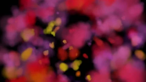 A multi-colored something releases yellow particles from itself. Magic Stock Footage 150344299