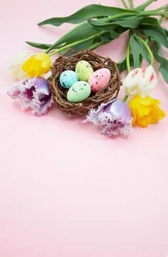 Multi-colored spotted eggs in nest with tulips on pink background. Easter Stock Photos