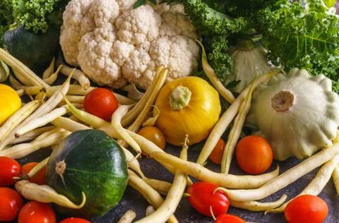 Multi-colored squash, cauliflower, cherry tomatoes and green beans Stock Photos