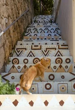 Multi-colored stone staircase in a narrow alley with a hissing ginger cat Stock Photos