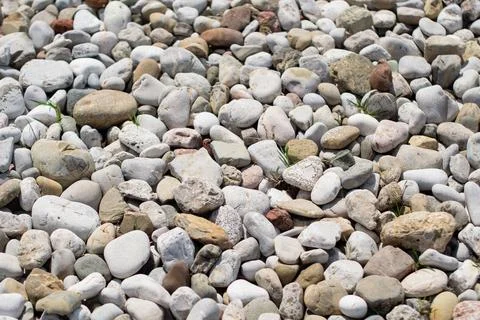Multi-colored stones with grass Foto stock
