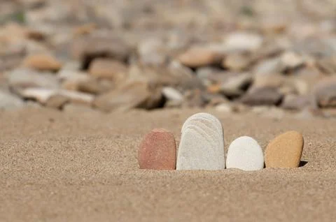 Multi-colored stones stand on the beach on the banks of the river, concept. Stock Photos