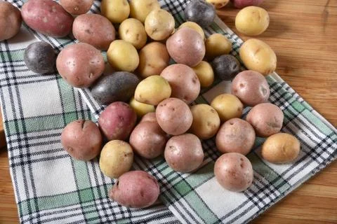 Multi-colored tiny potatoes Stockfoto's