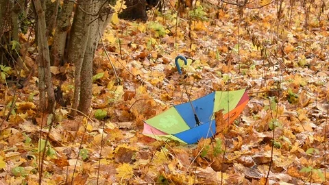 Multi-colored umbrella on fallen leaves, image of autumn Stock Footage 117897274