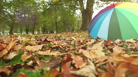 A multi-colored umbrella lying on the leaved ground in the park Stock-Footage 64936511