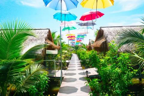 Multi-colored umbrellas hung over a wooden floor that was a road Beside it ar Stock Photos