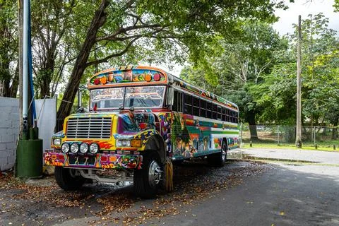 Multi-colored urban bus parked on a park Stock Photos