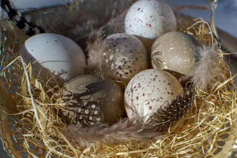Multi-colored wooden Easter eggs lie in a paper nest Foto stock
