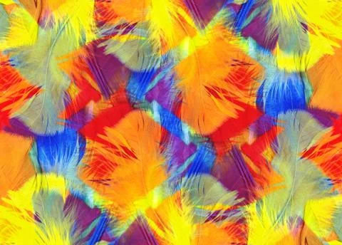Multi coloured abstract feathers texture background Stock Photos