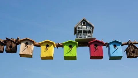 Multi coloured bird boxes Video stock 104260453