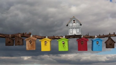 Multi coloured bird boxes Video stock 104260815