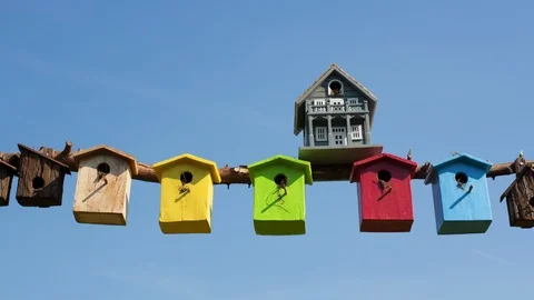 Multi coloured bird boxes Video stock 104261144