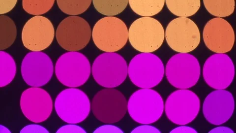 Multi-coloured disco lights flickering on the circle patterned wall at nightclub Stock Footage 73021999