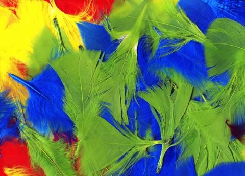 Multi coloured fluffy soft bird feathers abstract texture background Stock-Fotos