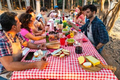 Multi-ethnic friends having fun and celebrating at arbecue party in countryside Stock Photos