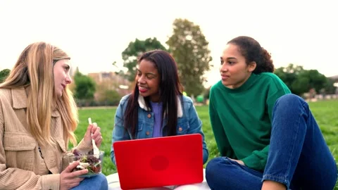 Multi-ethnic group of female students working on laptop at college campus Stock Footage 251664751