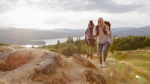 A multi ethnic group of five happy young adult friends reaching the summit Stock Footage