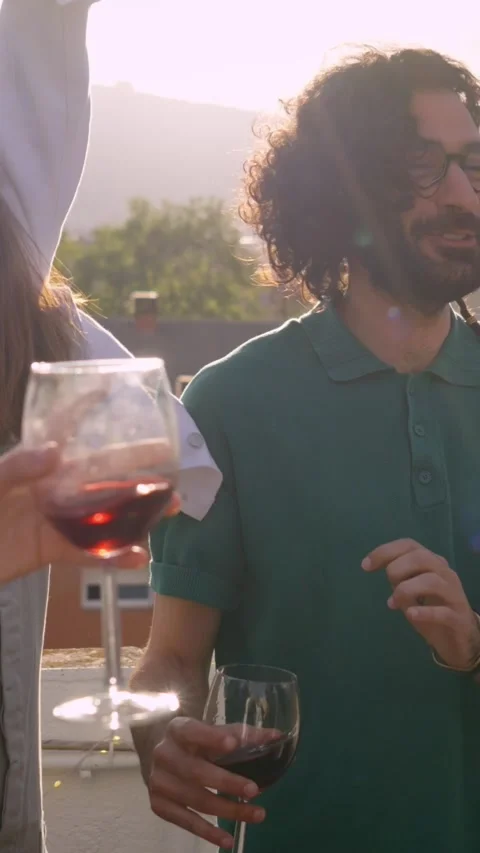 Multi-ethnic group of friends dancing and drinking red wine celebrating rooftop Stock Footage 272273575