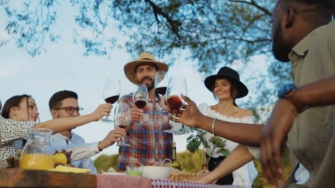 Multi-ethnic group of happy millennial friends cheering drinks enjoying wine and Stock Footage 116990975