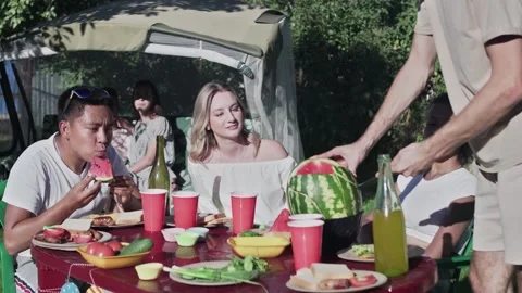 Multi-ethnic group of men and women having picnic eating watermelon talking and Stock Footage 143483285