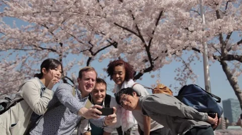 Multi-ethnic group taking pictures at hanami party in Tokyo Видео 52677287
