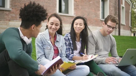 Multi-ethnic group talking together, sitting along campus university. Stock Footage 99052963
