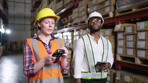 Multi ethnic group of workers inspecting inventory in the distribution warehouse Stock Footage 164238374
